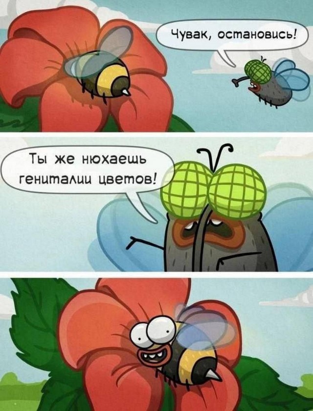 Нуштош 03.05.2024