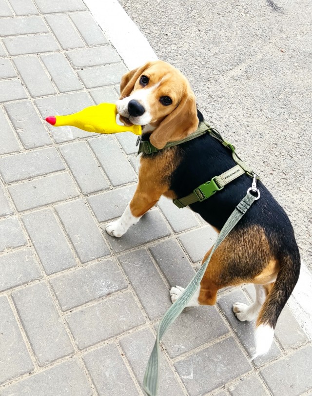 Хоть и пятница, ну да ладно
