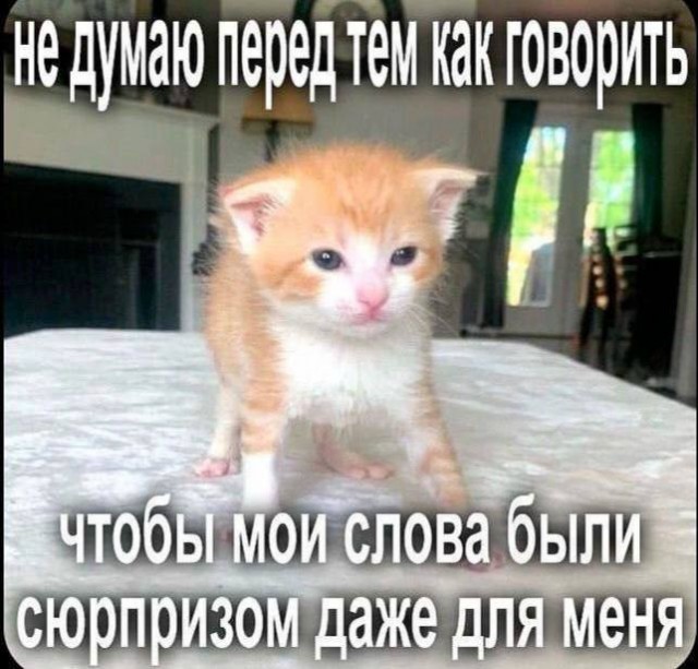 Всего понемногу. От 31.05.2024