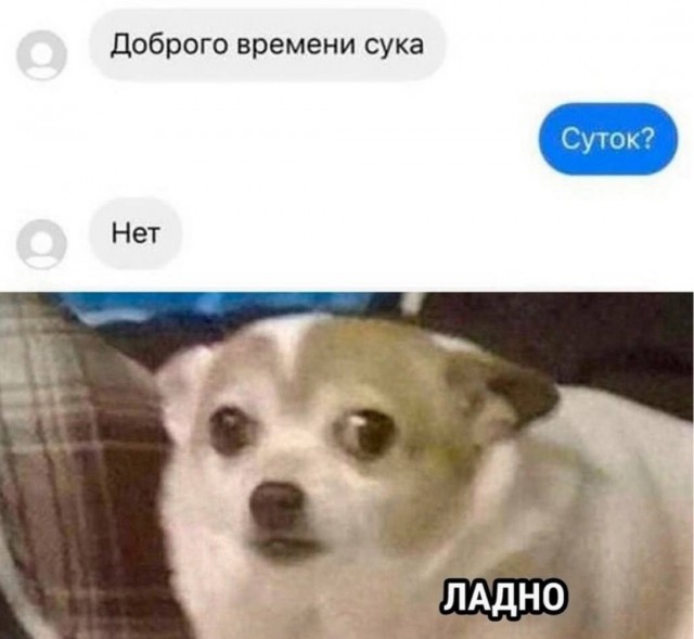 Сборник бабаянов или неожиданная помойка от Неждалигады