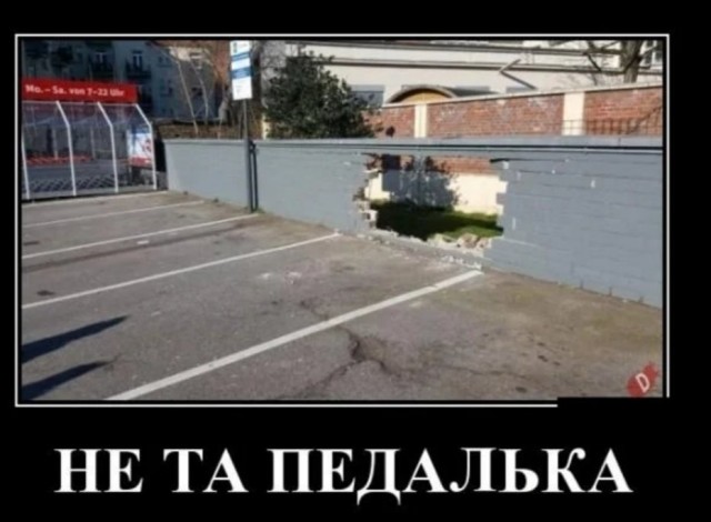 Так себе картинки 11.10.24
