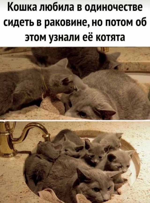 Завалялось тут случайно немного забавных картинок