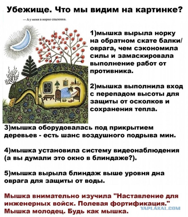 Всего понемногу. От 21.11.2024.