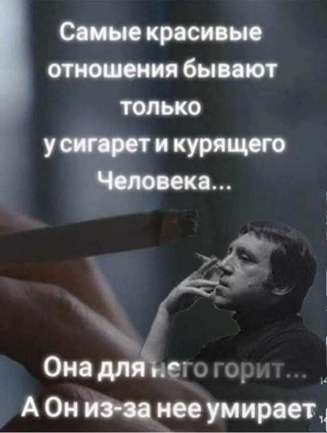 Прикольные и просто красивые картинки 04.12.2024