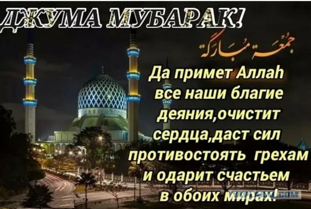 Управление мусульман России разрешило религиозное многоженство