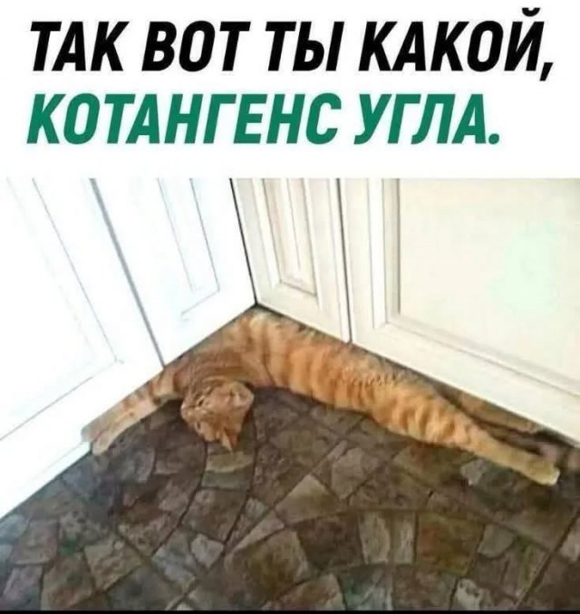 Завалялось тут случайно немного забавных картинок