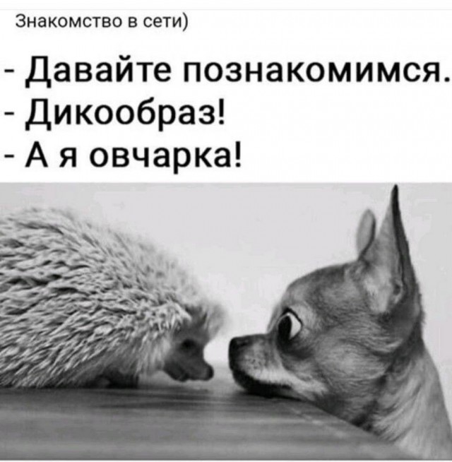 Так себе картинки 15.03.25