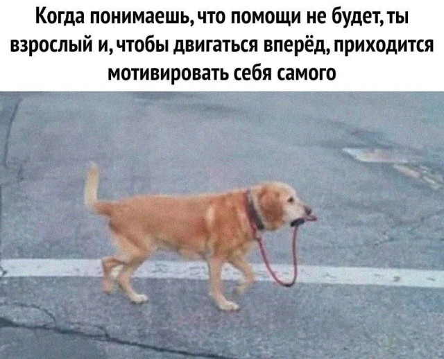 Так себе картинки 25.03.25