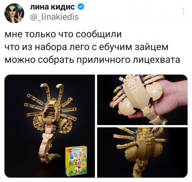 Просто зайцы - не то, чем кажутся