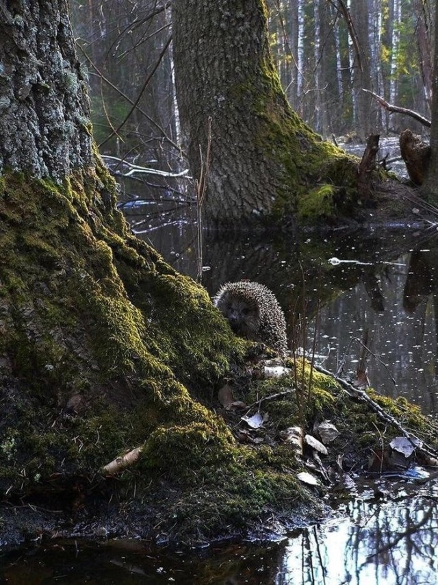 Прикольные и просто красивые картинки 28.03.2025