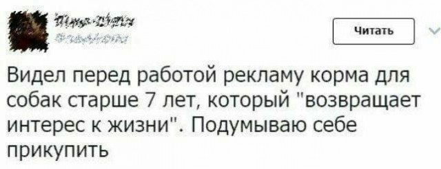 80 баянов из вацапов