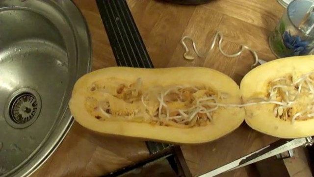 Живородящие растения