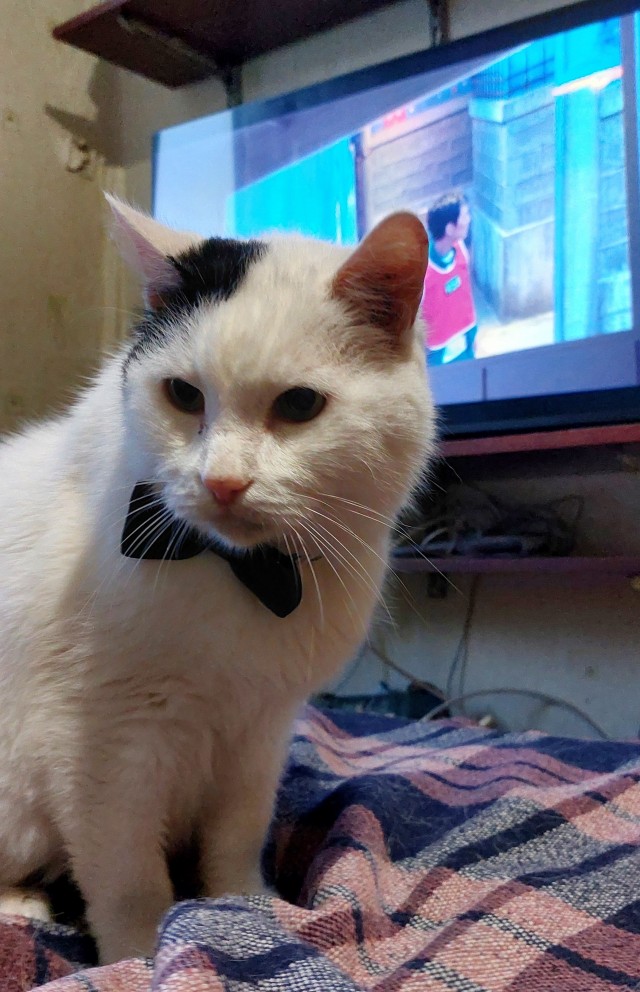 Сходили на грумминг)