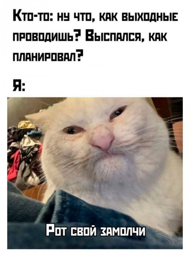 Так себе картинки 01.07.25