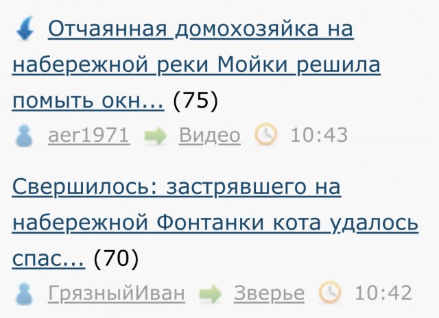 Отчаянная домохозяйка на набережной реки Мойки решила помыть окна в необычном виде