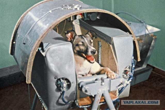 Детская космическая программа