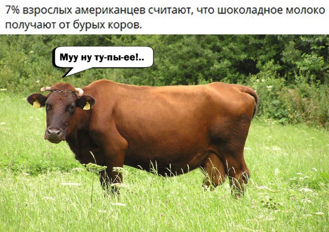 Пост с картинками.