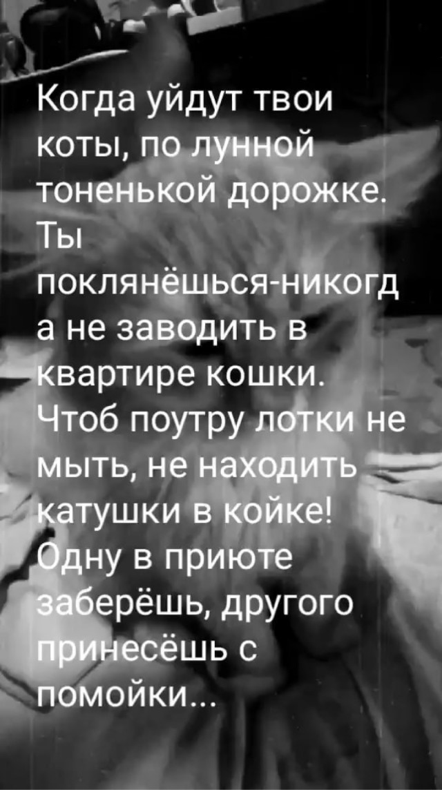 Он поверил
