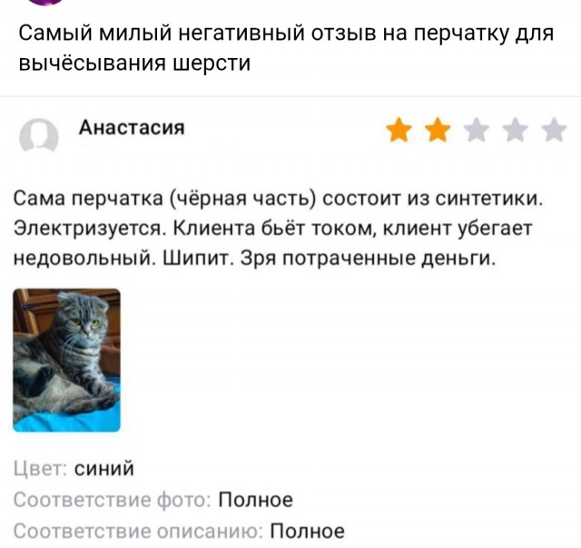 Веселые картинки в первый день октября (01.10)