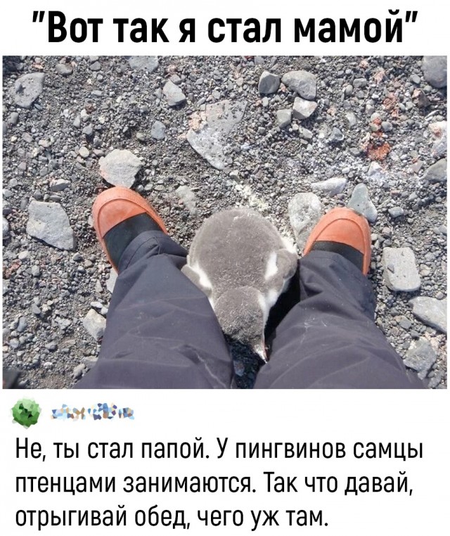 Так себе картинки 02.10.25