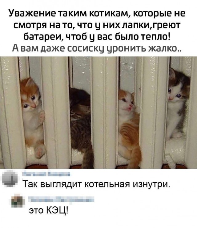 Веселое настроение в картинках (05.10.2025)
