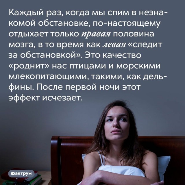 Куча-мала № 5