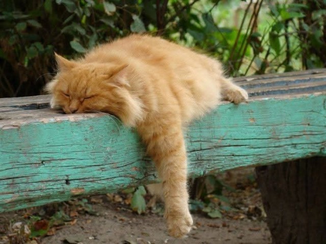 Прикольные и просто красивые картинки 18.11.2025