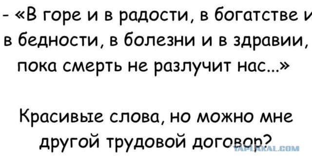 Субботние картинки