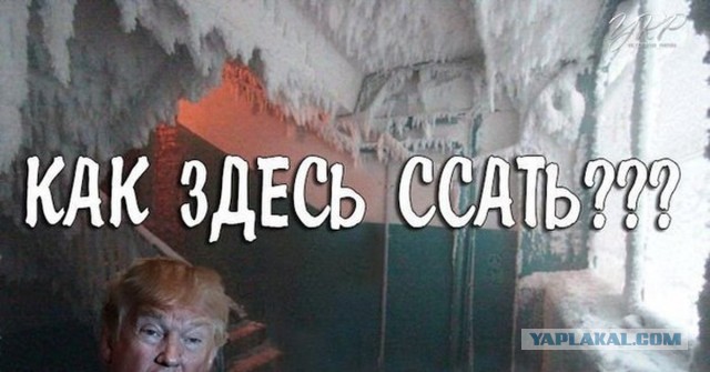 Цитата Понедельника...