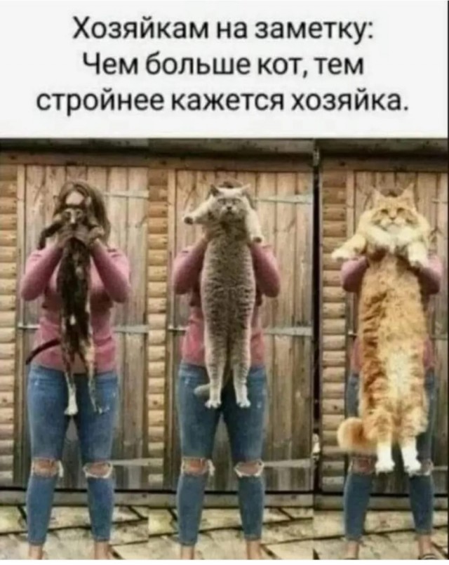 Вторника картинки