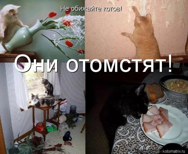 Действительно, что произошло??