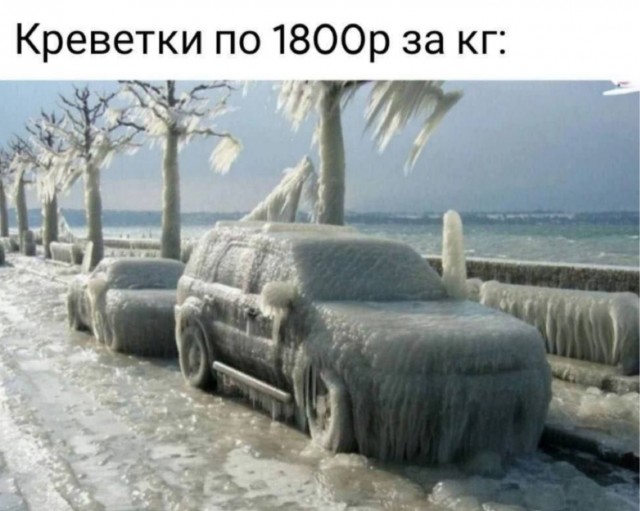 Прикольные и просто красивые картинки 27.02.2026