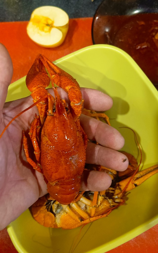 Бля, всю жисть крабы)))