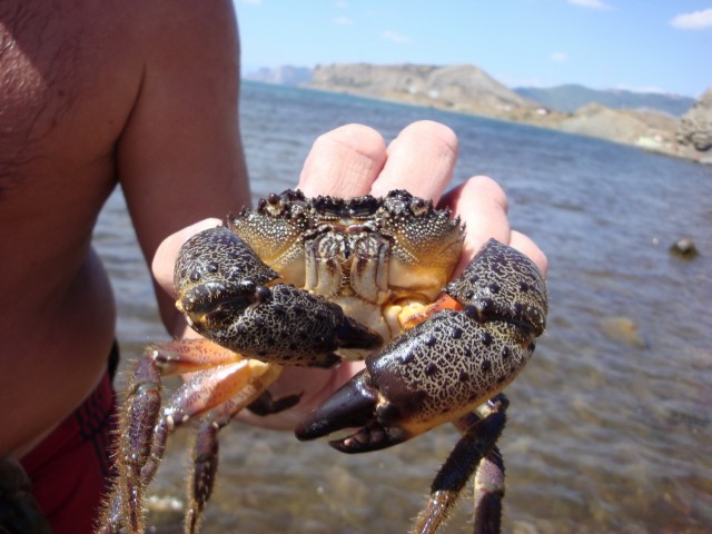 Как мы в Крым катались