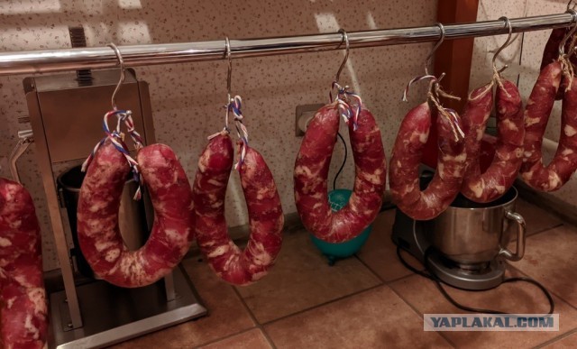 Есть ли в сосисках и колбасе мясо