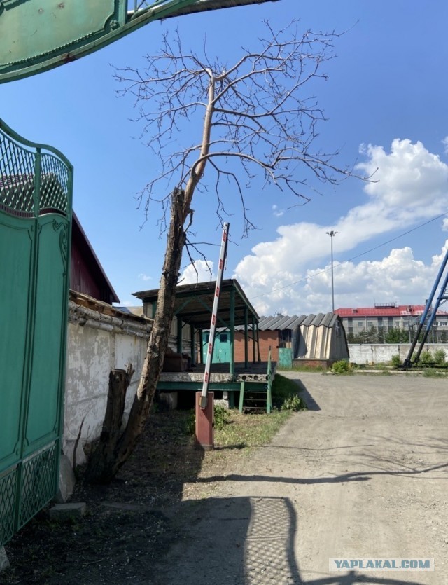 Страна победившего балабольства