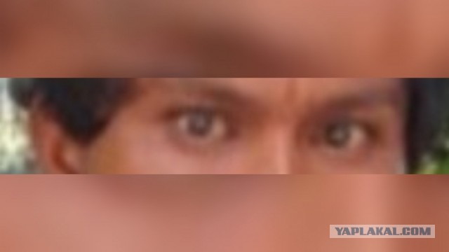 Слон‑маньяк 14 лет преследовал непальскую семью и убил четверых её членов