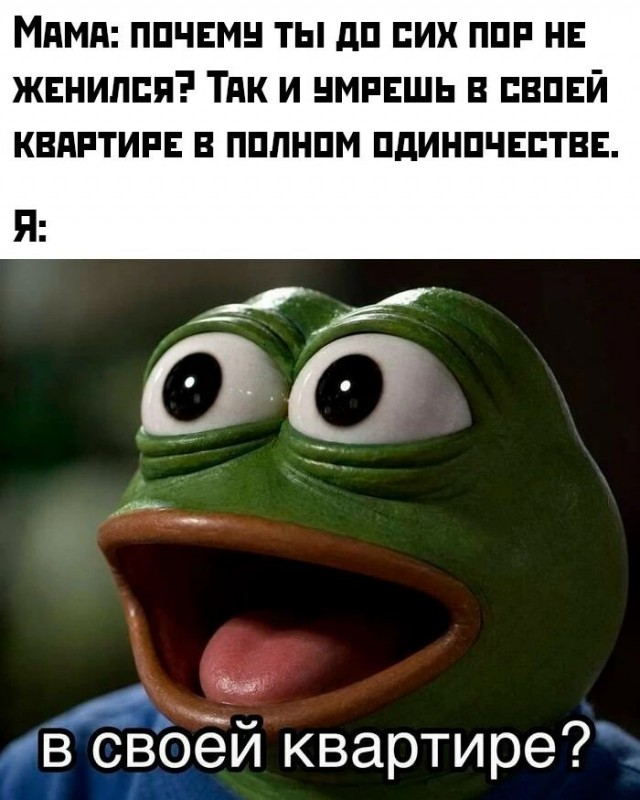 Так себе картинки 24.07.26