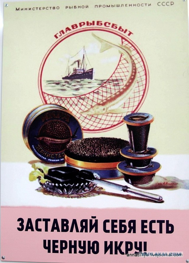 «Что раньше считалось признаком бедности⁠⁠»