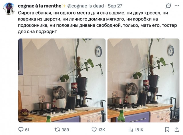 Сиротинушка