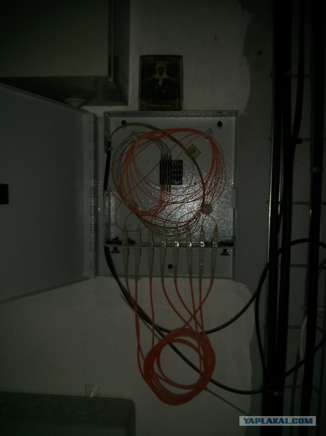 IT приколы