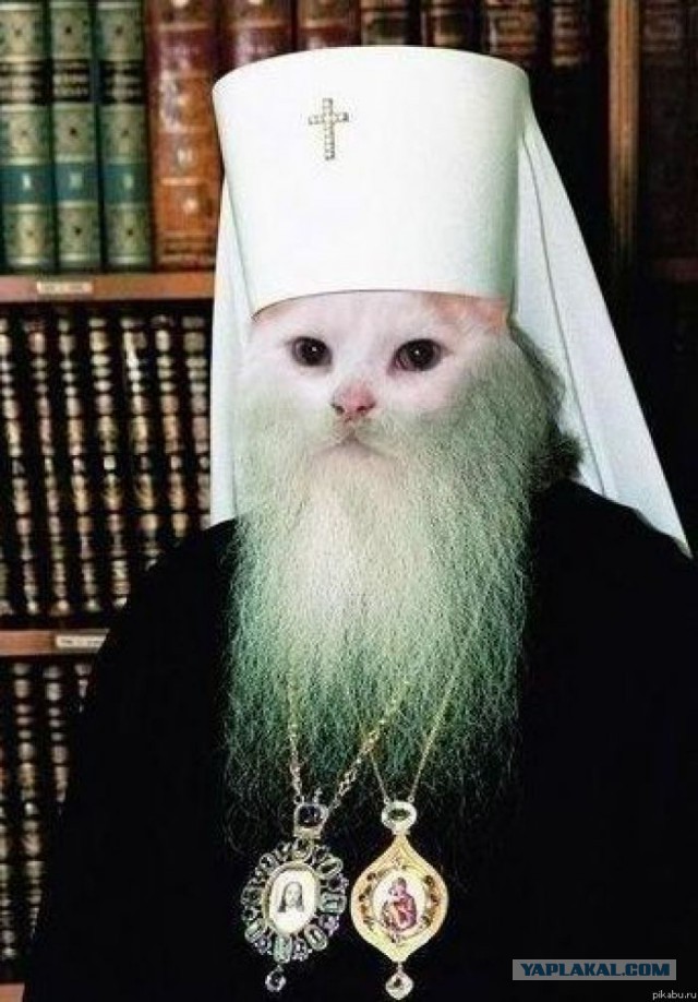 Господин Гундяев