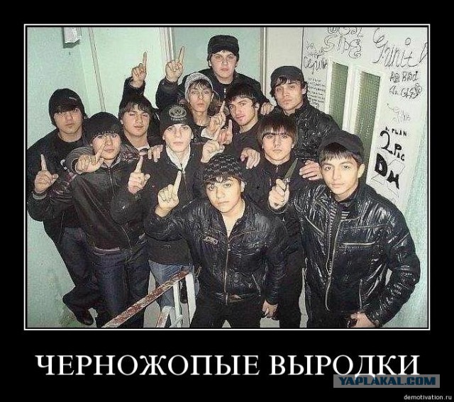 Черный волк