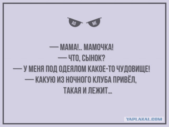 Братишки, я вам картинок принёс!