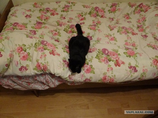 Фотограф от бога.