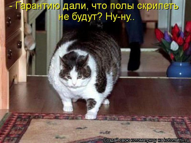 Перепись котопузов открыта=)