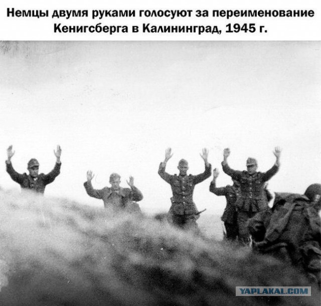 Wargaming 20
