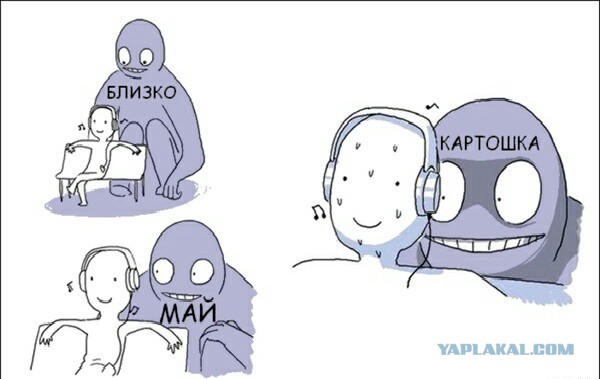 Веселости попавшиеся на сегодня