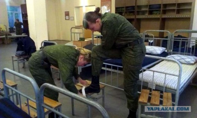 Картинки разные