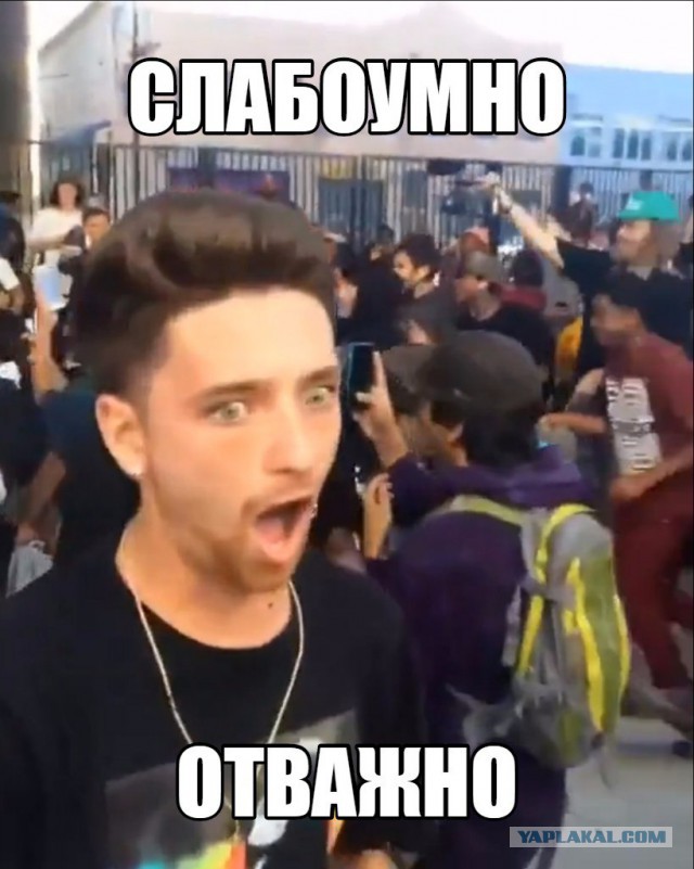 Слабоумие и отвага